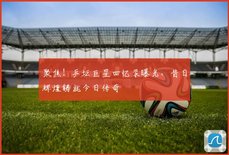 聚焦！乒坛巨星回忆录曝光，昔日辉煌铸就今日传奇