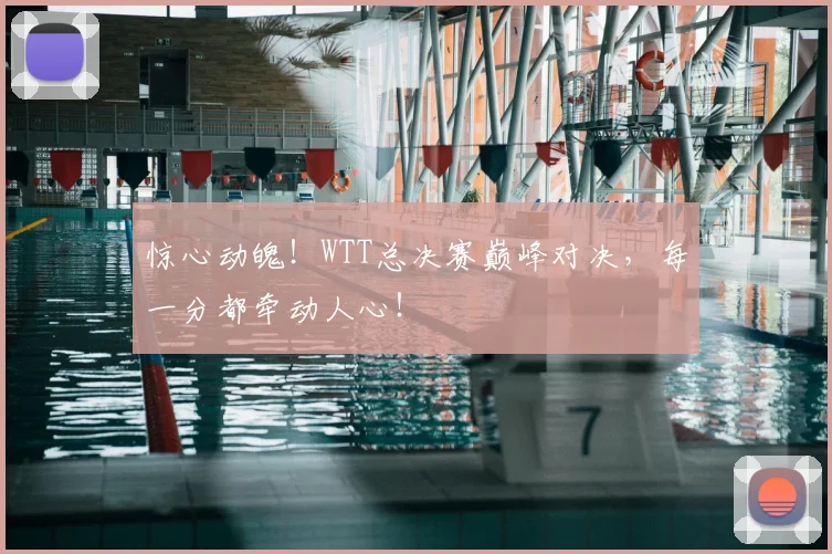 惊心动魄！WTT总决赛巅峰对决，每一分都牵动人心！