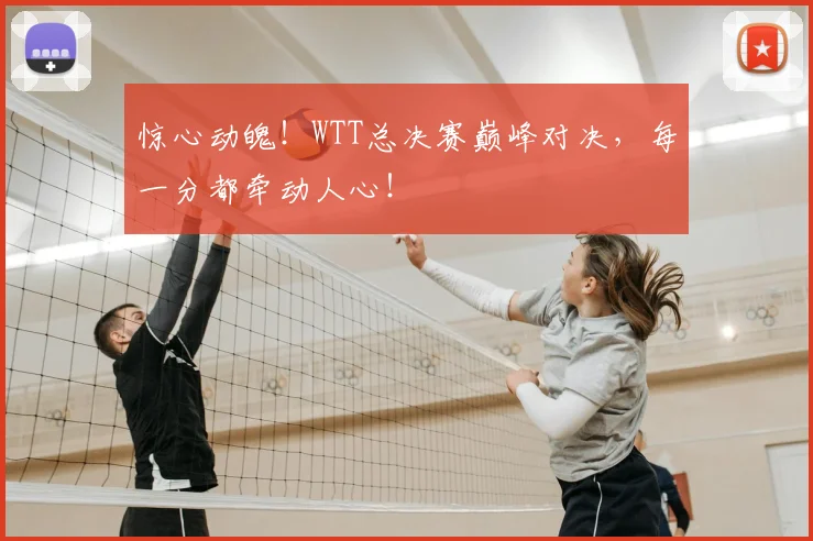 惊心动魄！WTT总决赛巅峰对决，每一分都牵动人心！