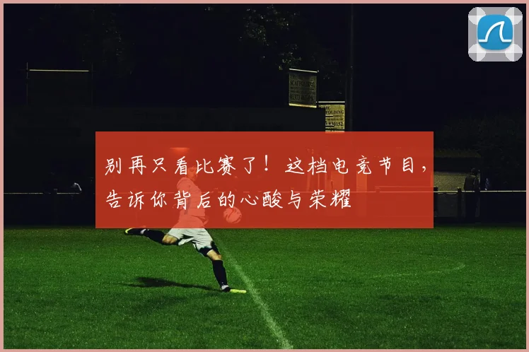 别再只看比赛了！这档电竞节目，告诉你背后的心酸与荣耀